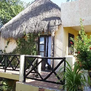 La Rana Cansada Playa del Carmen